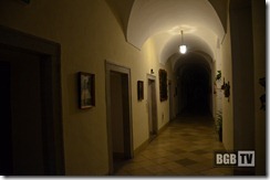 SpiriNight BGB (290)